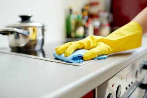 Residential and commercial gutter cleaning service in Soho