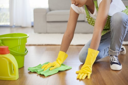 Expert stain removal process for rugs and soft furnishings in Soho