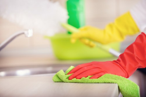 Cleaning professional explaining service terms before the appointment